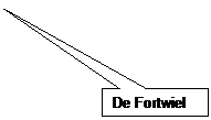 Rechthoekige toelichting: De Fortwiel