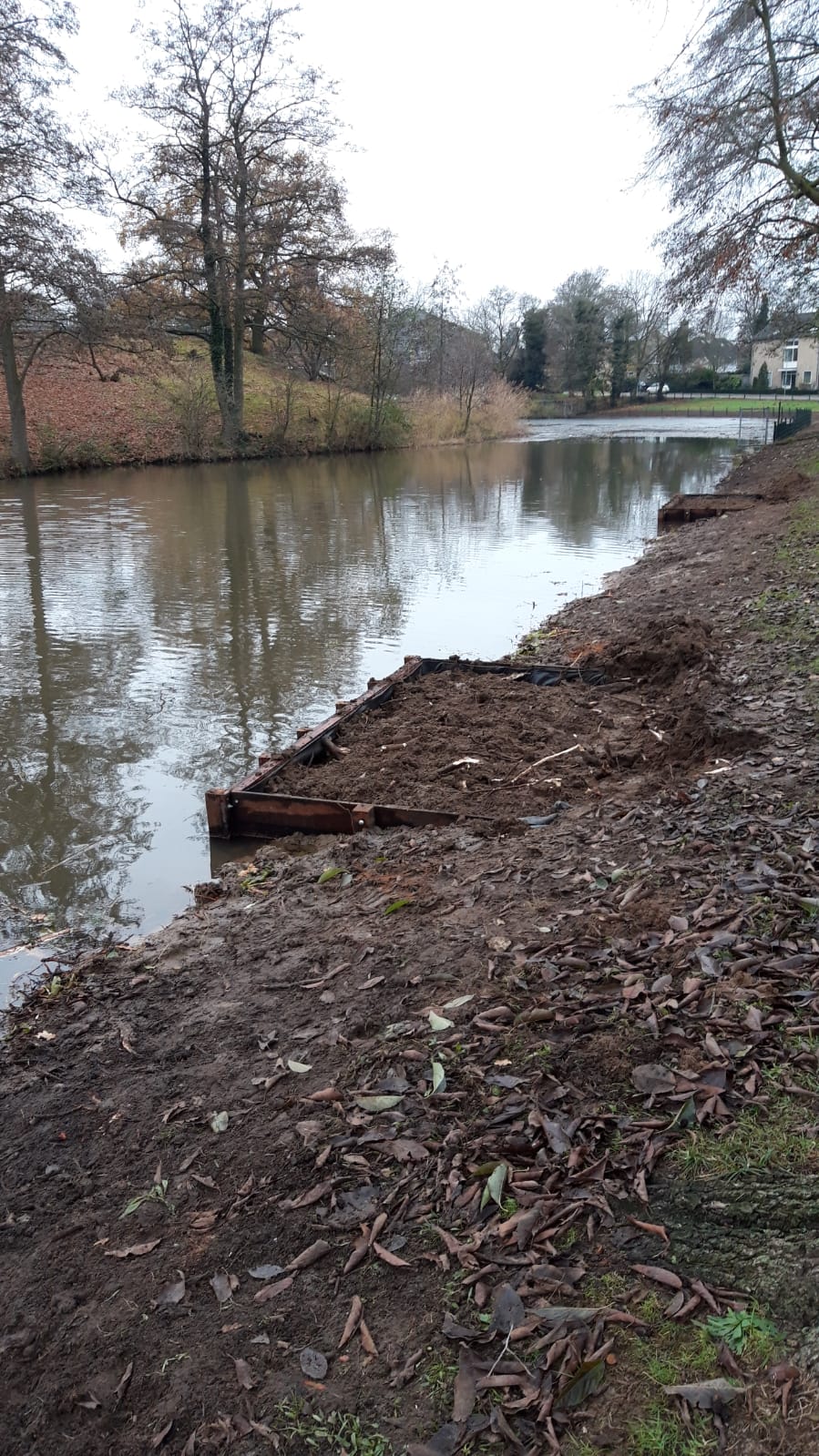 Afbeelding met buiten, boom, water, gras

Automatisch gegenereerde beschrijving
