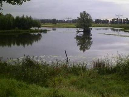 franse wiel 3