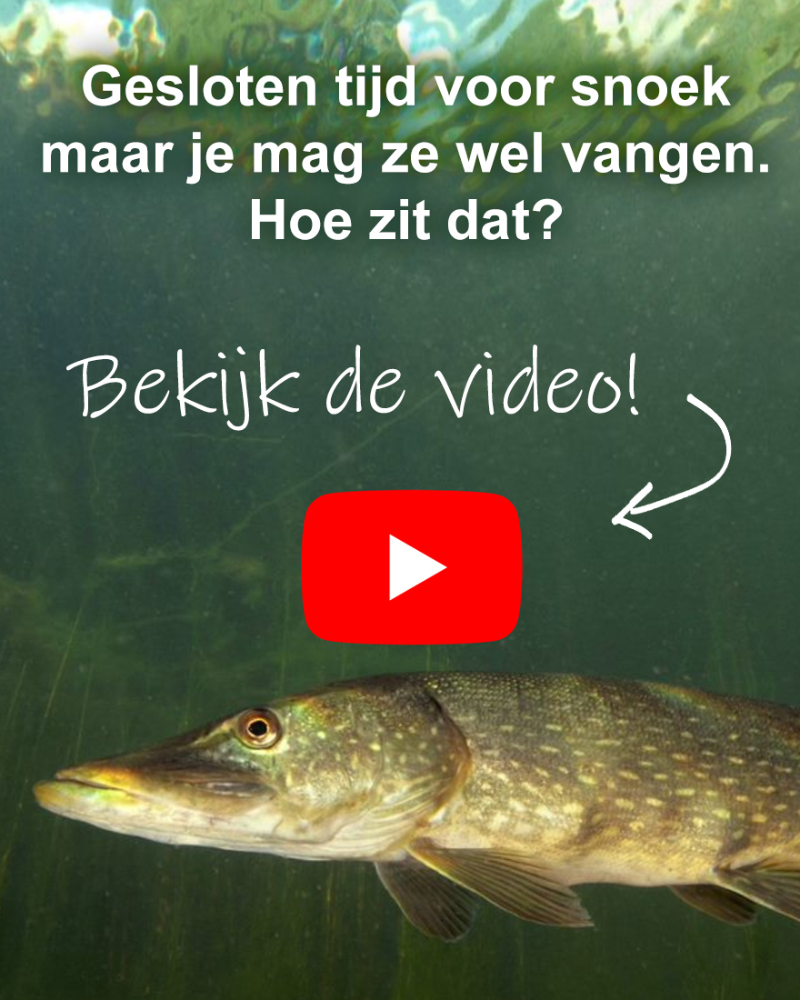 Hoe zit het met de gesloten tijd?