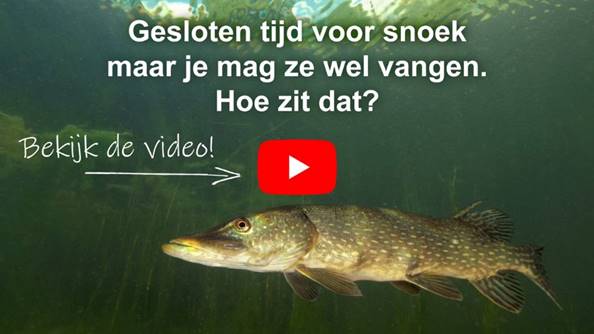 Hoe zit het met de gesloten tijd?